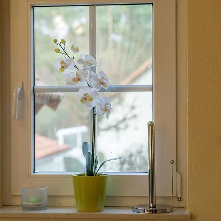 Haus Moewennest Im Lenz *